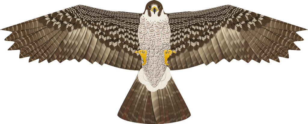 Hawk Kite Bird Scarer Guide