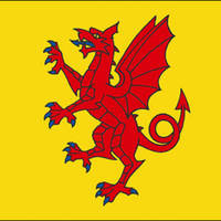 Somerset New Style County flag