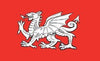White Dragon of England Flag