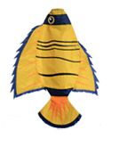 Angel Fish Windsock - Life's a breeze GB Ltd