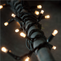 ConnectPro Outdoor LED String Lights, Connectable, Black Rubber Cable.