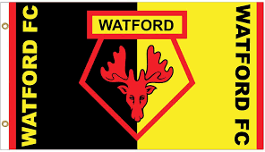 Watford Football Flag