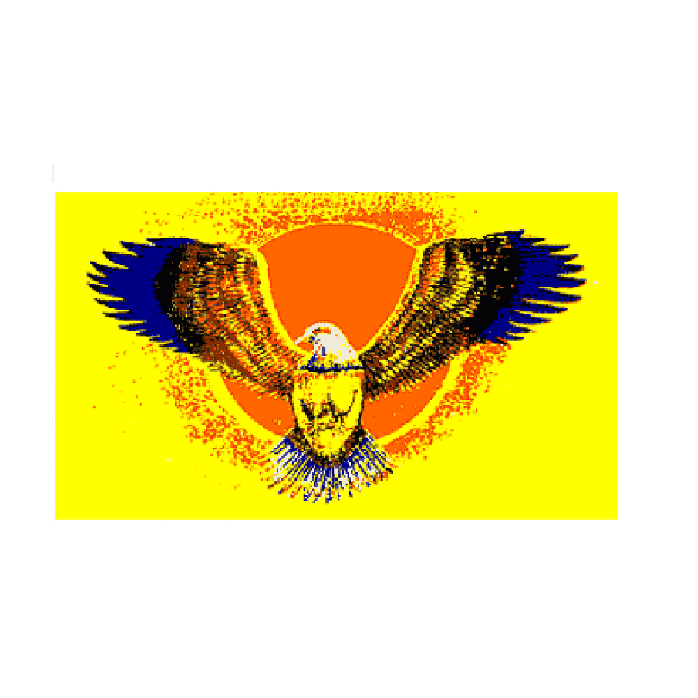 Flying Eagle Flag - Life's a breeze GB Ltd