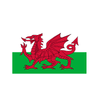 Welsh Dragon Flag. 8ft x 5ft - Life's a breeze GB Ltd